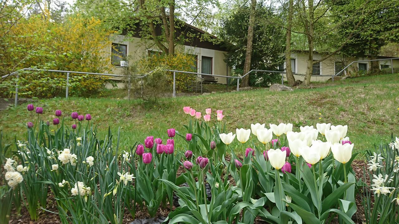 Gaestehaus Chorin Exteriér fotografie