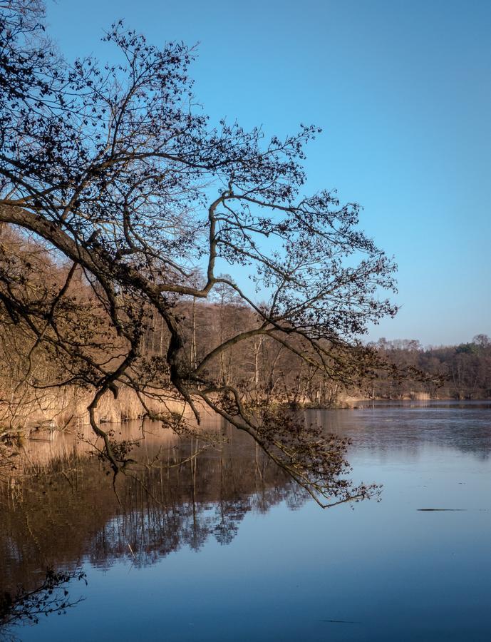 Gaestehaus Chorin Exteriér fotografie